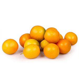 桂林金桔，参考售价：5元/斤