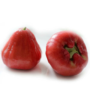 台湾莲雾，参考售价：300元/箱