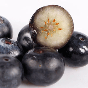 智利有机蓝莓，参考售价：180元/箱