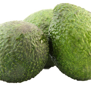 澳洲牛油果，参考售价：230元/箱